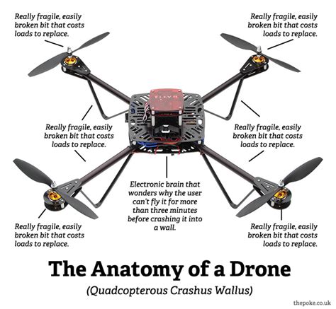 anatomy   drone  poke