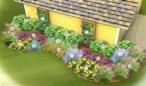 zone  perennials      northern   frustrated landscaping side  house