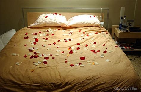 rose petals  bed photo  ateric lee striffler rose petals bed