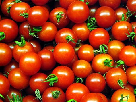 cherry tomatoes  photo  freeimages