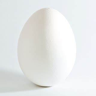real food rocks  incredible edible egg