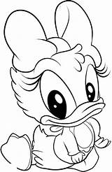 Coloring Duck Daisy Baby Pages Disney sketch template