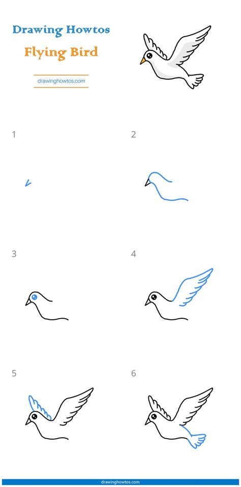 draw  flying bird step  step easy drawing guides drawing