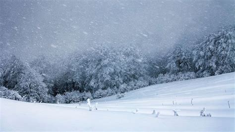 storm  bring    inches  snow  west abc san francisco