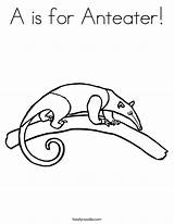 Anteater Honduras Cursive Noodle sketch template