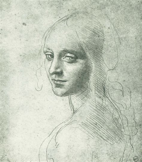 Leonardo Da Vinci Artamaze By Katherine Hilden