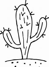 Cacto Cactus Pelecyphora Colorironline sketch template