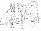 Husky Huskies Siberian Lineart Puppy Ausmalbilder Kolorowanki Simensis Canis Pobierz Drukuj sketch template