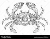 Crab Zentangle sketch template