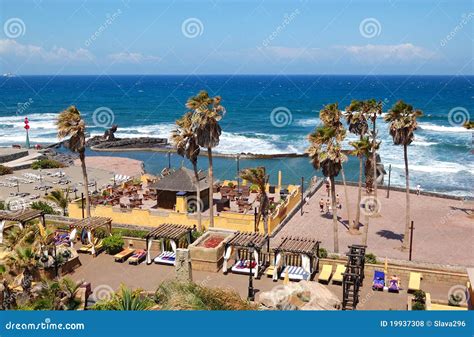 beach   luxury hotel stock photo image  summer