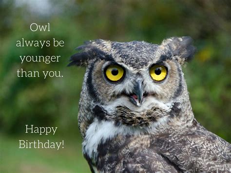 birthday owl photo greeting card  birthday cards blank etsy canada