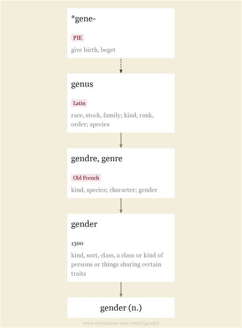 Gender Origin And Meaning Of Gender By Online Etymology Dictionary