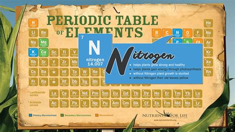 Interactive Periodic Table Of Elements Poster Nutrients For Life