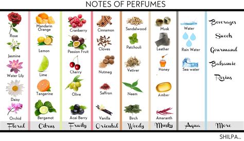 perfect guide  perfume notes    choose em