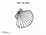 Clam Clams sketch template