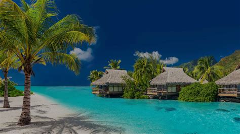 Fiji Cruise Best Cruises To Fiji 2019 And 2020 Celebrity