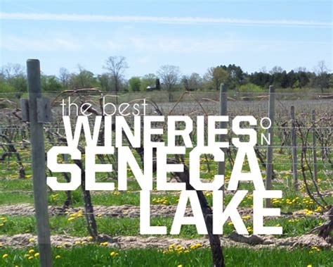 seneca lake wineries seneca lake finger lakes ny lake trip