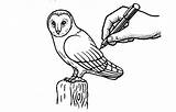 Barn Drawing Simple Owl Getdrawings Draw sketch template