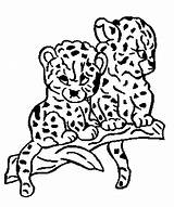 Leopardo Colorir Colorat Pantera Félins Kolorowanki Pantere Panteras Felins Gepardy Panthers Desene Animale Mascara P09 Plansa Planse Imagini Colorier Leopardy sketch template