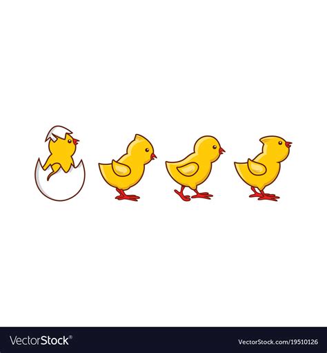 flat cute chick hatching royalty free vector image