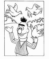 Bert Ernie Duiven Sesamstraat Sesame Ausmalbilder Malvorlage Zo Stemmen sketch template