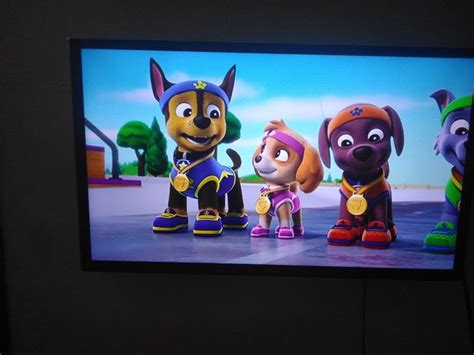 Paw Patrol Chase X Skye Collection Pups Save Sports
