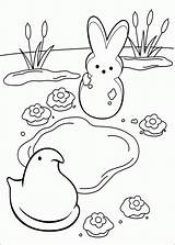 Peeps Marshmallow Peep Pintar Websincloud Coloriez Colorat Planse Página Hopscotch sketch template