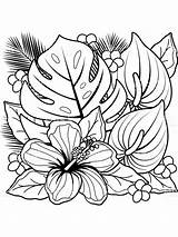 Adultos Coloriage Hibiscus Madamteacher sketch template