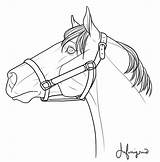 Horse Halter Coloring Comments Portrait Stock sketch template