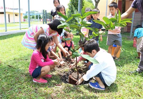 students planting trees  celebration  international childrens day
