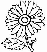 Bunga Matahari Sketsa Ausmalbilder Sunflowers Adults Koleksi Kolase Sonnenblumen Cool2bkids Mewarna Coloringtop Pelajarindo Getdrawings Paling Lukisan Sonnenblume Webtech360 sketch template