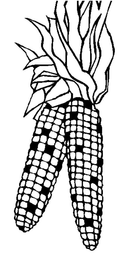 corn coloring pages    print