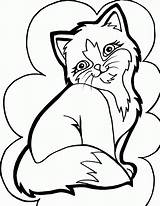 Coloring Pages Cat Kitty Printable Color Clipart Kitten Realistic Library sketch template