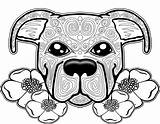 Coloring Dog Pages Mandala Adults Pitbull Adult Puppy Colouring Printable Color Sugar Skull Sheets Pit Para Bull Books Coloriage Book sketch template