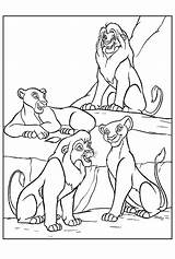 Lion Coloring Mewarnai Colorare Disegni Leone Pemandangan Hello sketch template