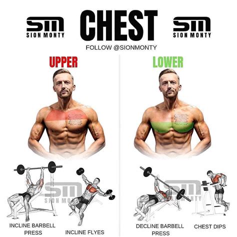 Upper And Lower Chest Exercises Sionmonty Lower Chest Workout Best