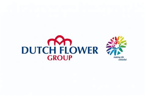 dutch flower group