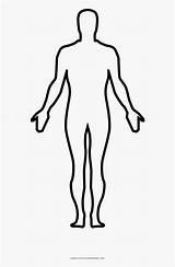 Body Coloring Human Drawing Sapiens Homo Transparent Pngitem Size sketch template