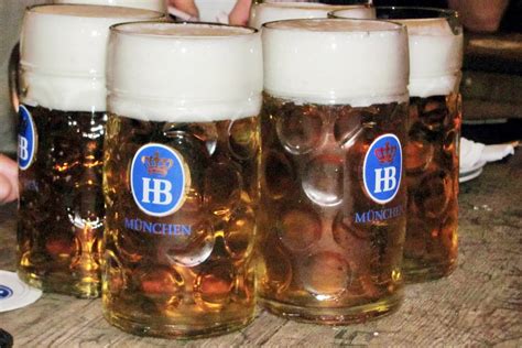 beer drinkers guide  munich  traveloid