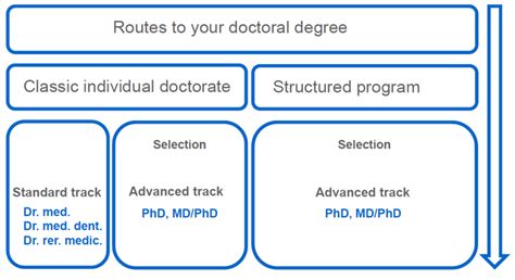 requirements office  doctoral studies charite