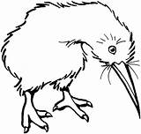 Bird Kiwi Coloring Clipart Drawing Outline Pages Cliparts Clip Kiwis Printable Line Color Supercoloring Zealand Gif Clipartbest Edhelper Library Categories sketch template