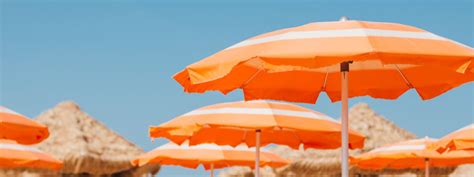 beach day curated collection shutterstock