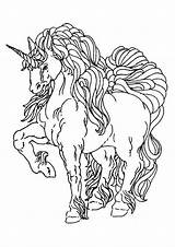 Unicorn Colorear Unicornio Unicornios Unicorni Hadas Printcoloringpages sketch template