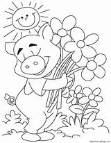 Pig Bestcoloringpages sketch template