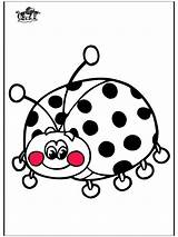 Coccinelle Ladybird Coccinella Colorare Coloriages Marienkafer Insectes Insecten Ausmalbilder Joaninha Biedronka Mariquita Insectos Malvorlagen Insetti Colorier Fargelegg Disegni Owady Insekter sketch template