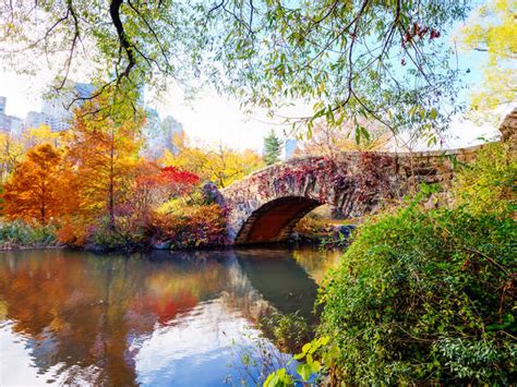 53 fantastic things to do in nyc in september