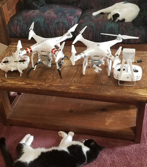 cats  dronesjpg dji phantom drone forum