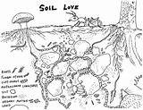 Soil Drawing Little Basics Chemistry Getdrawings Plants Azul Mission sketch template