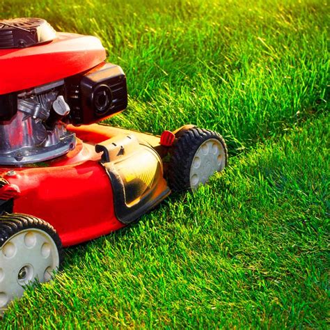 efficient   mow  grass family handyman