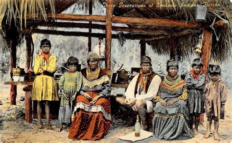 rewriting floridas history seminole indians   descended